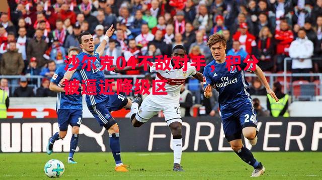 沙尔克04不敌对手，积分被逼近降级区